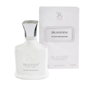 عطر جیبی  برندینی مدل Silver Mountain حجم 33 میلی لیتر